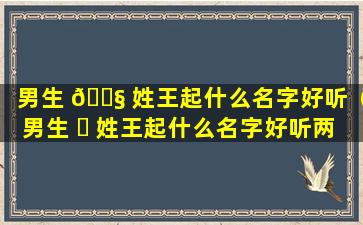 男生 🐧 姓王起什么名字好听（男生 ☘ 姓王起什么名字好听两个字）